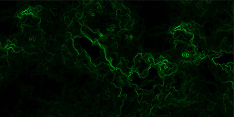 Abstract dark background composed of swirling, cloud-like textures in deep black and vibrant neon green. Electric plasma or smoke tendrils, forming glowing, intricate, organic shapes across the canvas