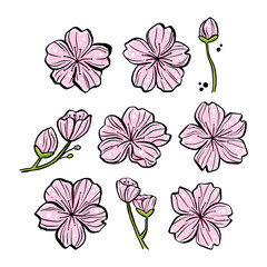 Set of Pink Sakura for decoration crafts project, card, background and any design. Vector illustration about botanical nature.