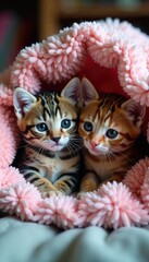 Fluffy kittens nestled in a blanket fort, AI generated , cute, home