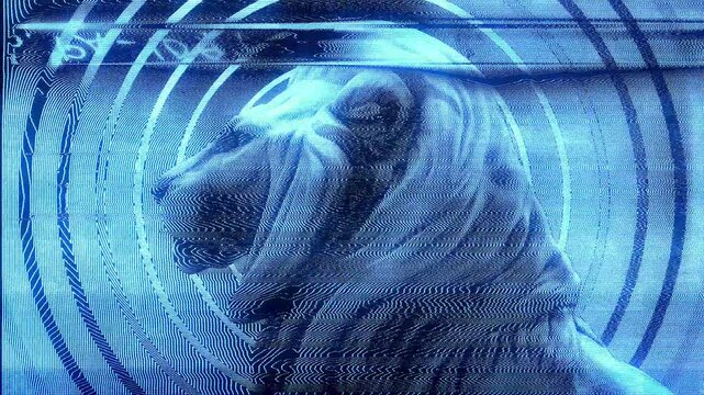 Close in on the head of a Lion with a distorted modulation effect.