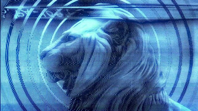 Close in on the head of a Lion with a distorted modulation effect.