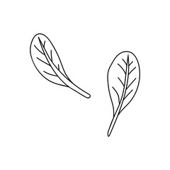 spinach leaves, doodle illustration. Hand drawn black illustration for food packaging design.