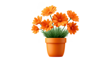 3D Orange flowers isolated on transparent background