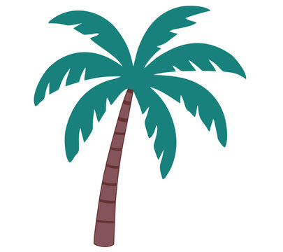 Palma albero esotico zona tropicale immagine vettoriale estiva