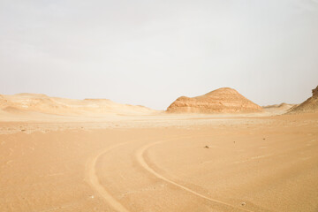 Tire Tracks in Desert Sand – Off-Road Trail in Egypt
