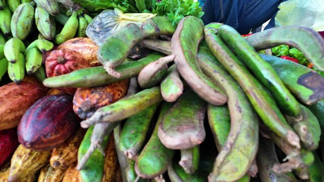 tropical fruits, including Guama, cocoa pods, bananas, and topocho plantains