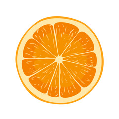 オレンジの断面のベクターイラスト