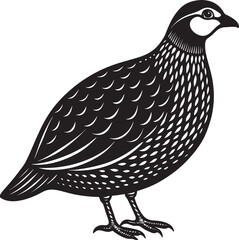 Fototapeta premium bird on a white background