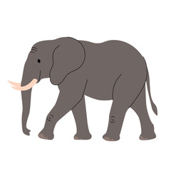 Obraz premium Flat vector illustration of an elephant walking, featuring a dark grey body, soft pink tusks, and simple line details. Clean and minimal design, ideal for safari or wildlife themes. Vector