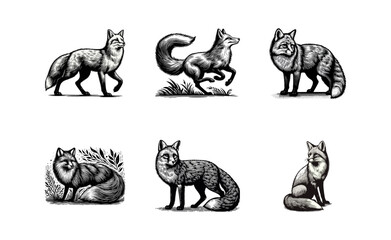 fox engrave logo icon illustration black white