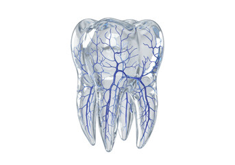 Isolated Translucent Tooth with Blue Veins