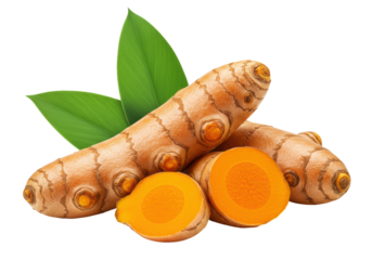 Isolated Fresh Turmeric Roots with Leaves and Cross Section