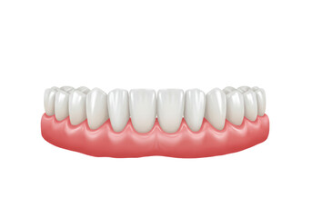Isolated False Teeth Prosthetic with Gums