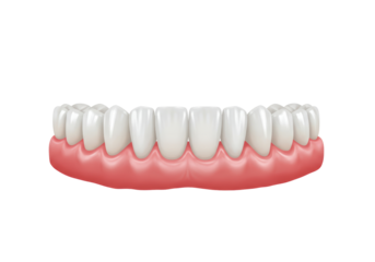 Isolated False Teeth Prosthetic with Gums