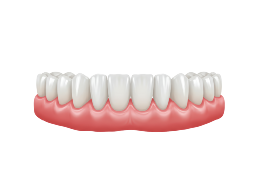 Isolated False Teeth Prosthetic with Gums