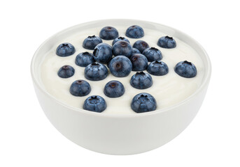Isolated Bowl with Yogurt and Blueberries
