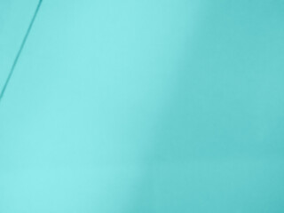 Blue background, abstract shadow leaves wall winter backdrop empty frame template for presentation product summer or cosmetic beauty skin care, banner organic elegant interior minimal