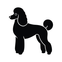 Simple Poodle Minimalist Black Vector Silhouette