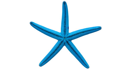 Blue starfish isolated on transparent background
