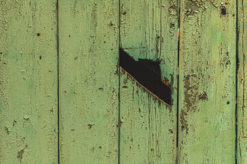 Striking contrast of nature and decay in weathered green wooden planks illuminated by warm sunlight...