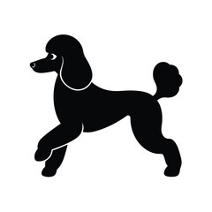 Simple Poodle Minimalist Black Vector Silhouette