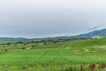Obraz premium Spring views of the Chui Valley of Kyrgyzstan. Nature background.