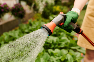gardener nurtures her plants with care in a bright greenhouse filled with life