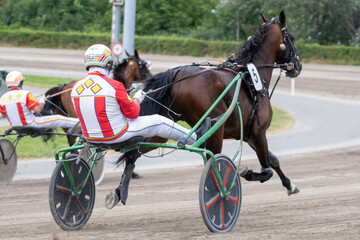 Modena, Italy – 05 18 2025: Racing horses trots and rider on a track of stadium. Competitions for trotting horse racing. Horses compete in harness racing. Horse runing at the track with rider.

