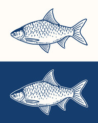 java barb fish illustrations