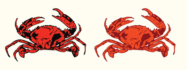 Bold Red Crab Duo Marine Illustrations