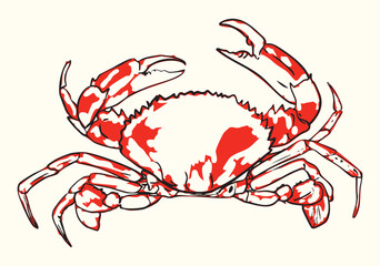 Red Crab Line Art