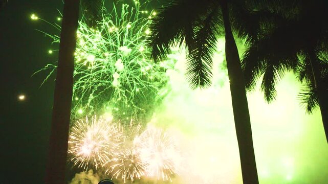 Colorful fireworks bursting behind palm tree silhouettes, illuminating dark tropical sky with dazzling celebratory display