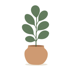 House plants in pots. Element for design house, room or office. Isolated element on white background.
