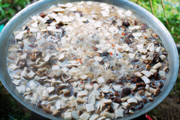 Boil the shiitake mushrooms in boiling water.