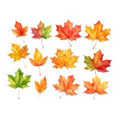 autumn maple and oak leaves vector illustration set isolated on white