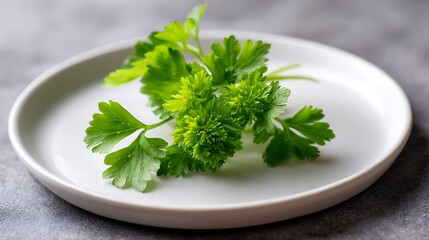 Fresh Parsley Sprig on a White Plate