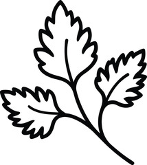 Coriander Outline Icon: Spice Herb
