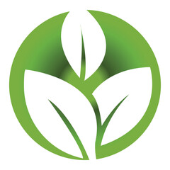 Leaf icon isolated logo