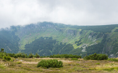 vegetation hill, vegetation levels, mountains, slopes, peak, conifers, structure, view from afar