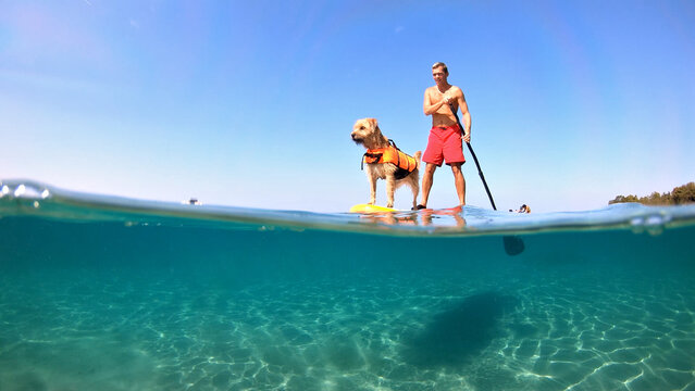 Man and his dog paddleboard on a clear, blue ocean. Underwater perspective showcases the tranquil water and their reflection.