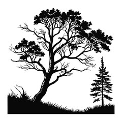 Obraz premium Tree Silhouette Vector Graphic