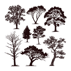 Collection of Hand-Drawn Tree Silhouettes  Nature's Elegant Forms in Silhouette Art