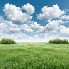 Obraz premium Green field stretches to meet the horizon under a bright blue cloudy sky.