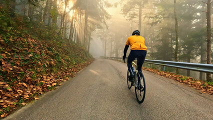 A person rides a bicycle down a winding road surrounded by a forest. The scene captures the essence...