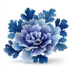 A beautiful blue and white flower blossom blooms gracefully on white background.