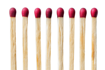 A row of seven wooden matches with red tips aligned and ready to be used for starting a fire