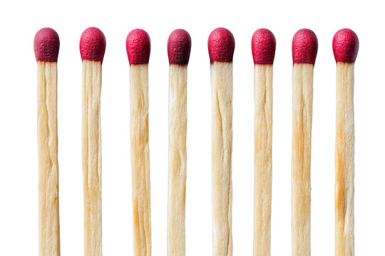 A row of seven wooden matches with red tips aligned and ready to be used for starting a fire