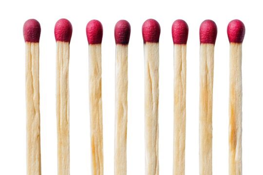 A row of seven wooden matches with red tips aligned and ready to be used for starting a fire