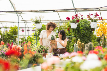 Young women choosing potted cactus inside greenhouse