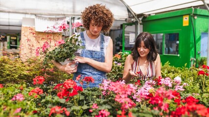 Garden center workers choosing blooming flowers in greenhouse